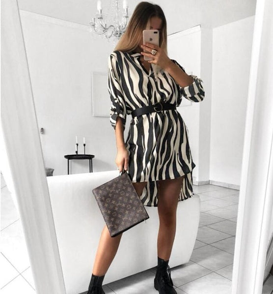 Women's Spring Sexy Leopard Dress Snake Print Striped Long Sleeve V-neck Feminine